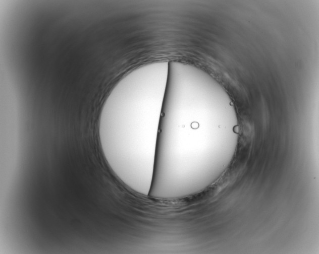 X0000096660707200802121131