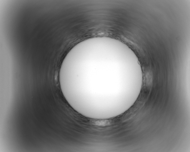 X0000096660709200802121131