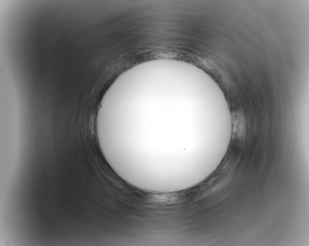 X0000096660713200802121131