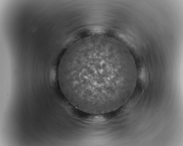 X0000096660715200802121131