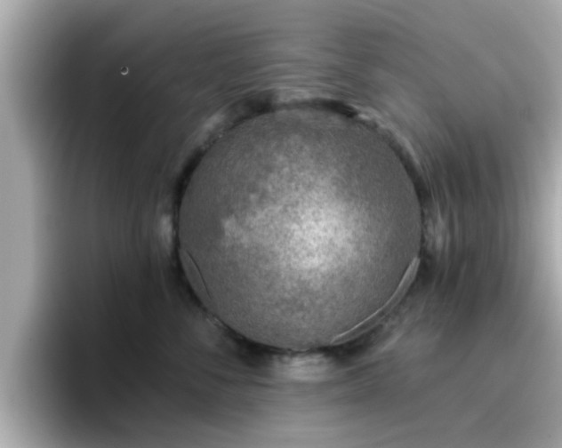 X0000096660716200802121131