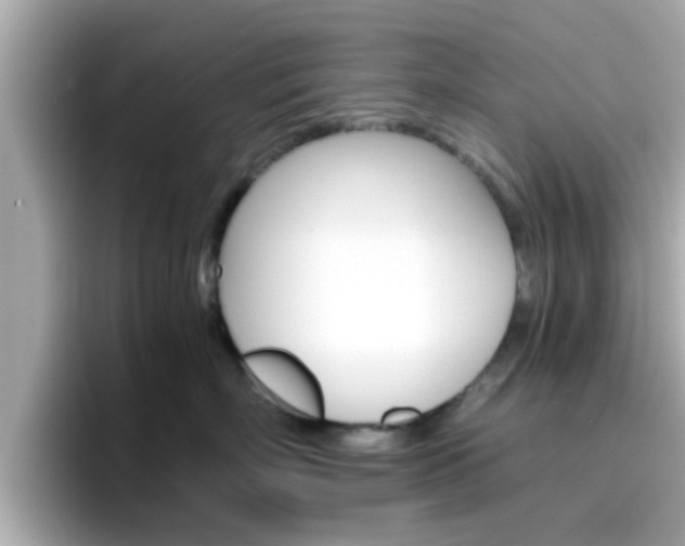 X0000096660718200802121131