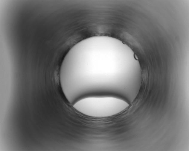 X0000096660719200802121131