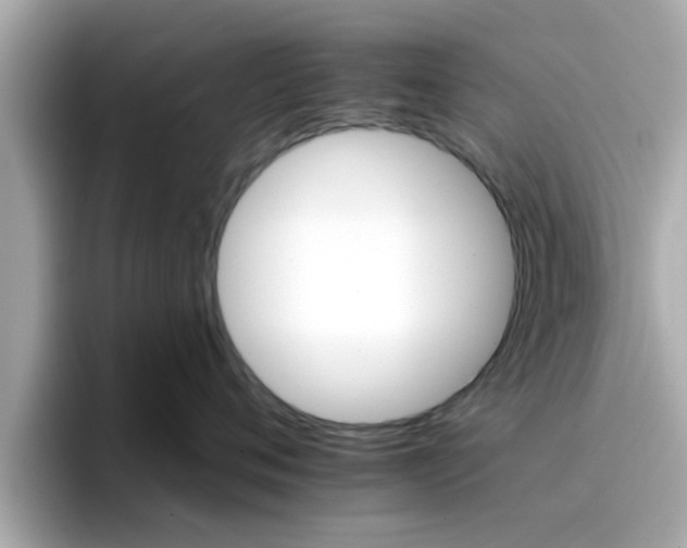 X0000096660720200802121131