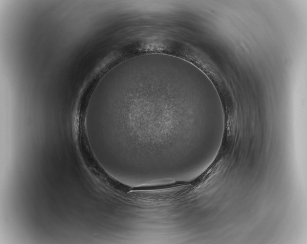 X0000096660722200802121130