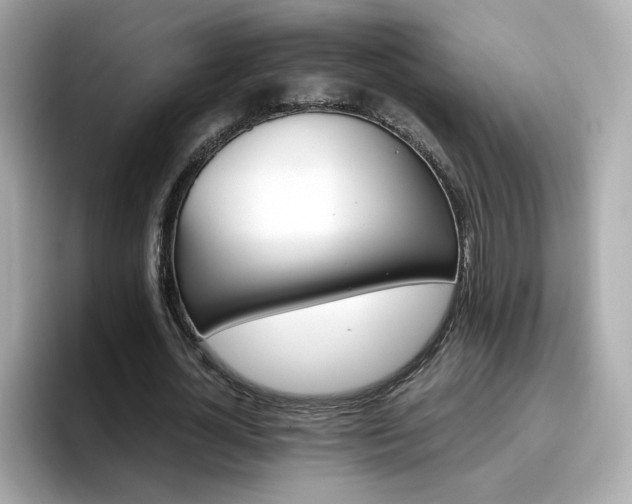 X0000096660724200802121130