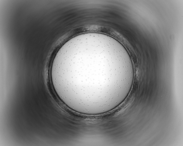 X0000096660725200802121130