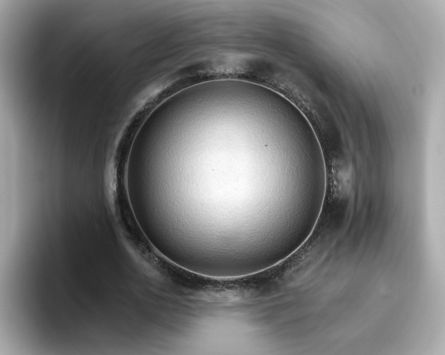 X0000096660726200802121130