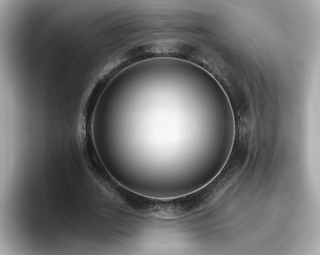 X0000096660727200802121130