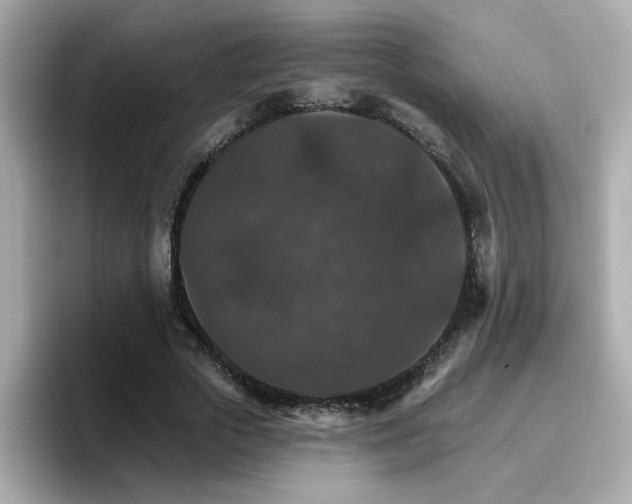 X0000096660729200802121130