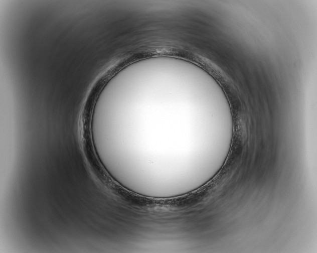 X0000096660730200802121130