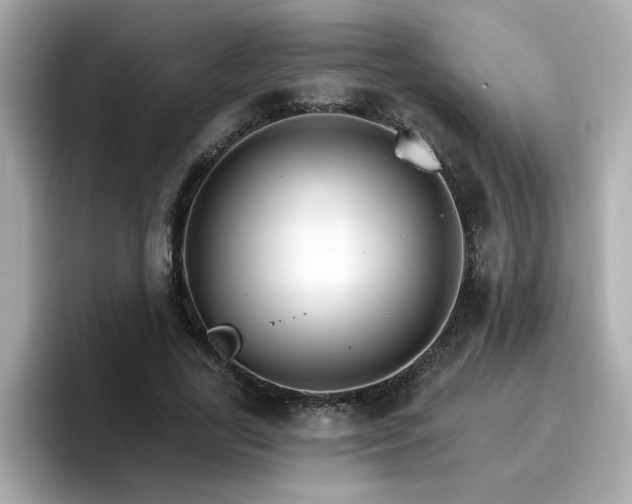 X0000096660731200802121130