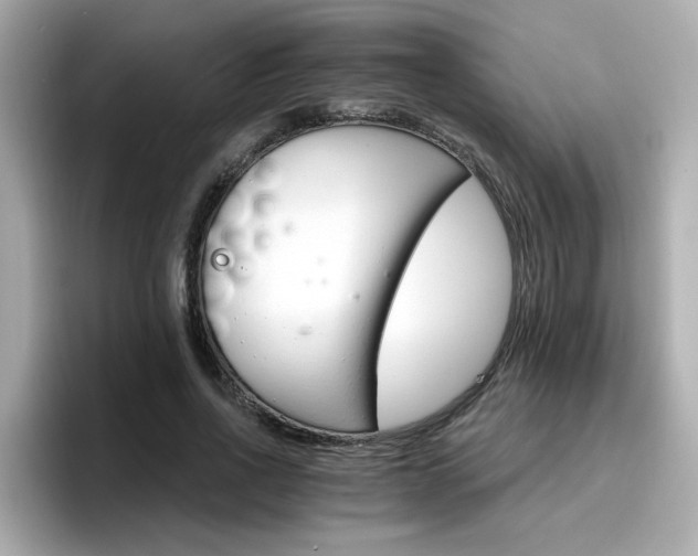 X0000096660734200802121130