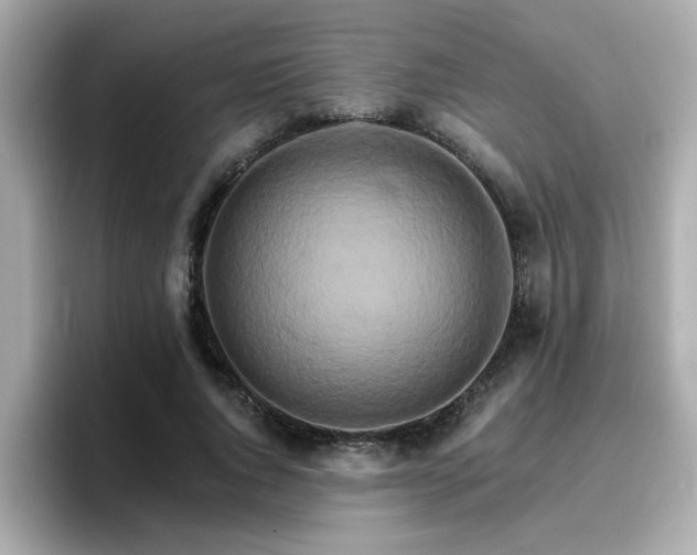 X0000096660736200802121130