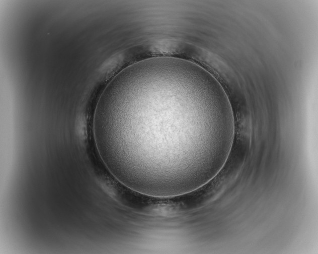 X0000096660738200802121130