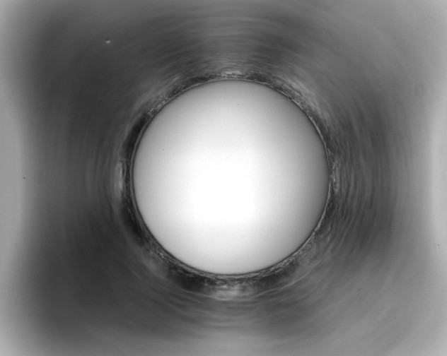 X0000096660740200802121130