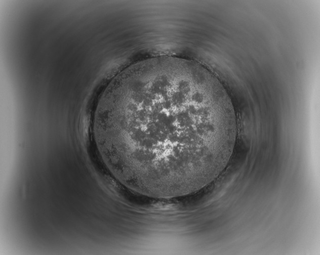 X0000096660742200802121130