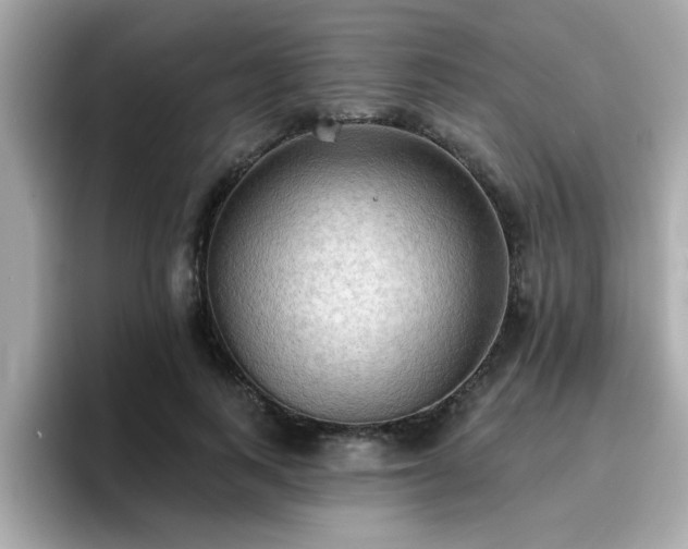 X0000096660743200802121130