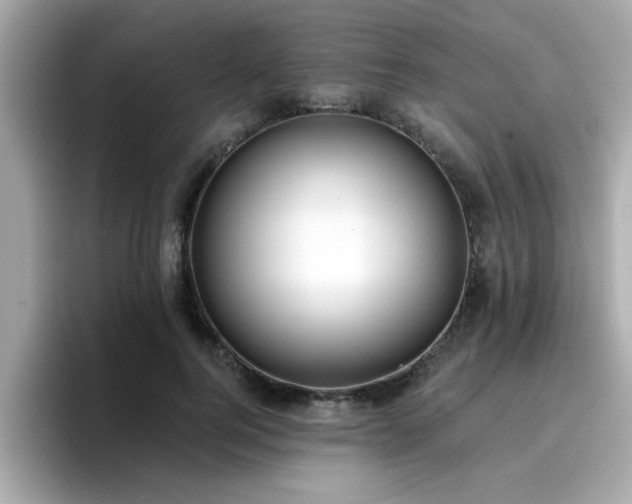 X0000096660744200802121130