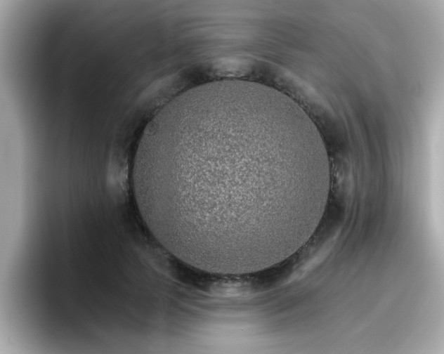 X0000096660745200802121130