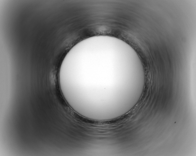 X0000096660746200802121130