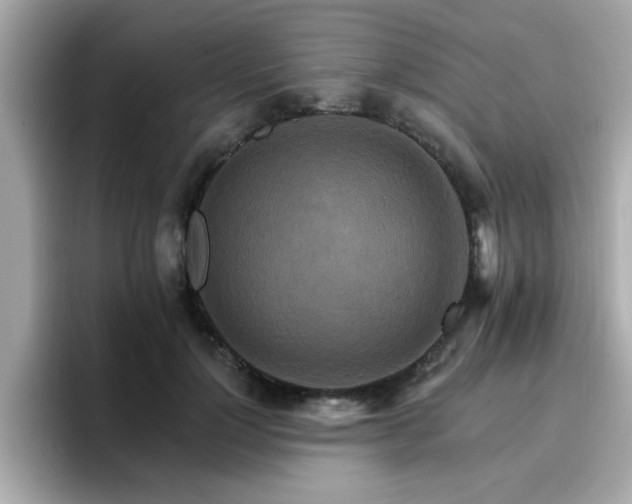 X0000096660748200802121130