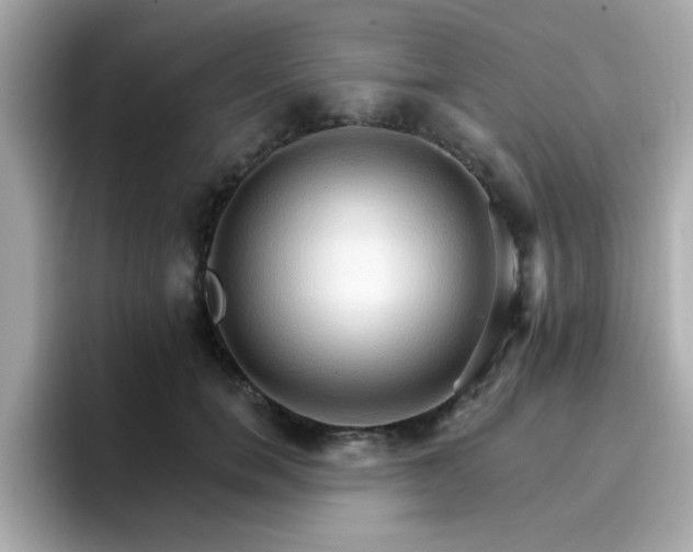 X0000096660750200802121130