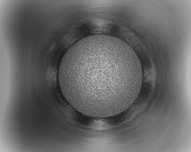 X0000096660753200802121130