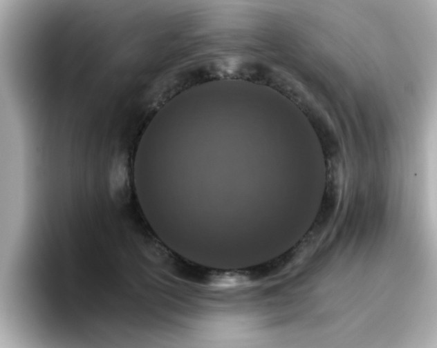 X0000096660754200802121130