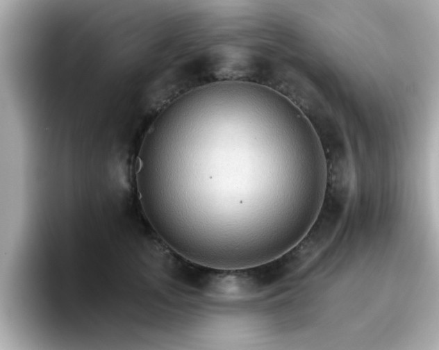 X0000096660755200802121130