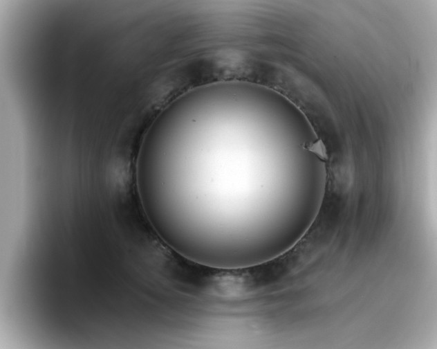 X0000096660756200802121130