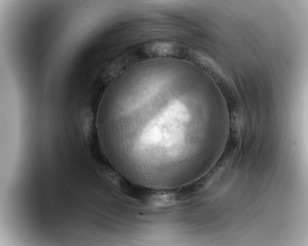 X0000096660760200802121130