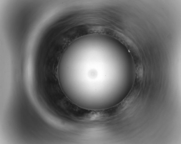 X0000096660764200802121130