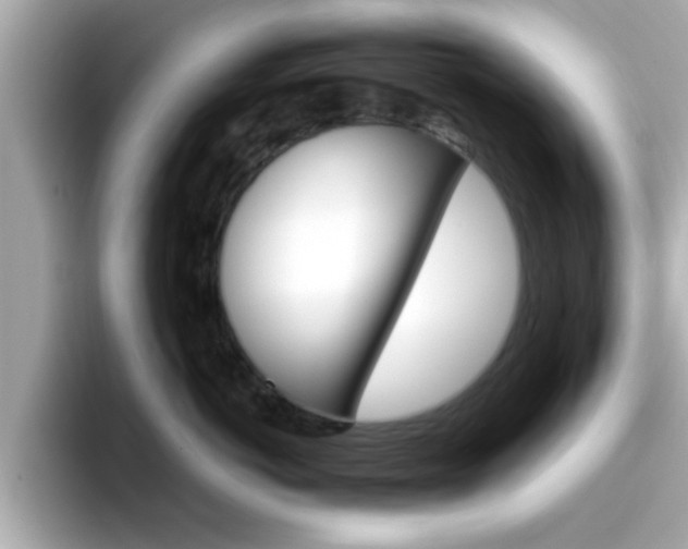 X0000096660766200802121130