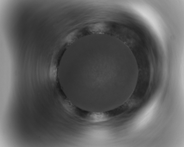 X0000096660767200802121130