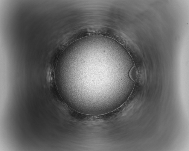 X0000096660770200802121130