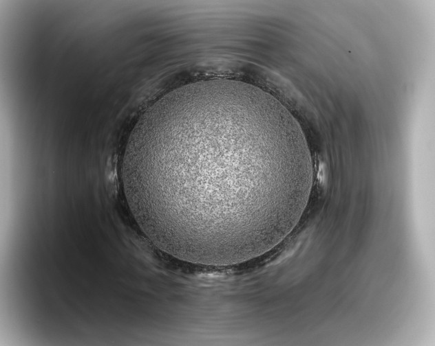 X0000096660771200802121130