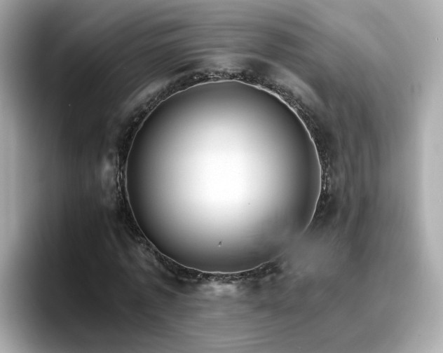 X0000096660773200802121130