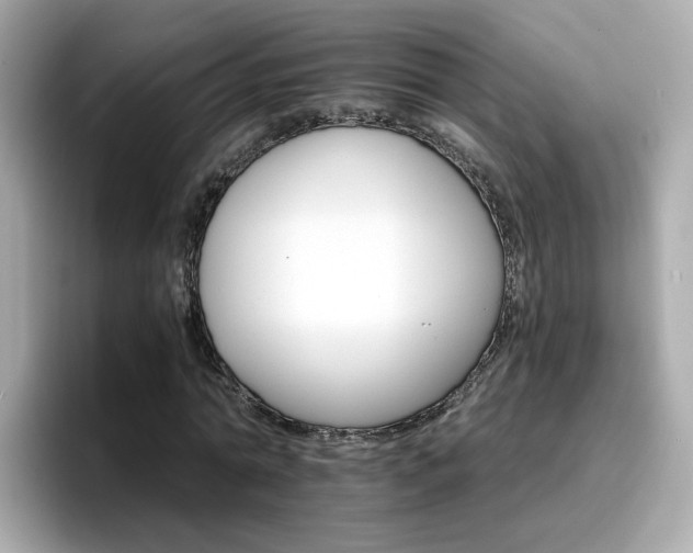 X0000096660774200802121130