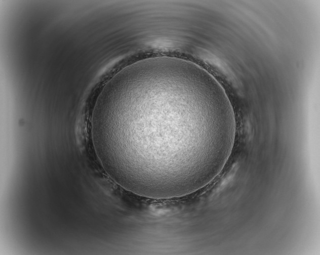 X0000096660776200802121130