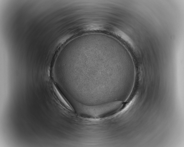 X0000096660777200802121130