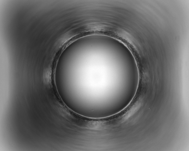 X0000096660778200802121130