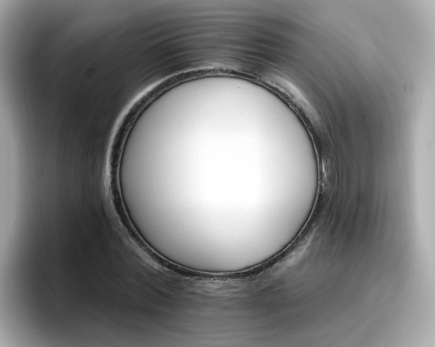 X0000096660780200802121130