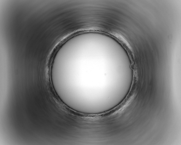 X0000096660781200802121130