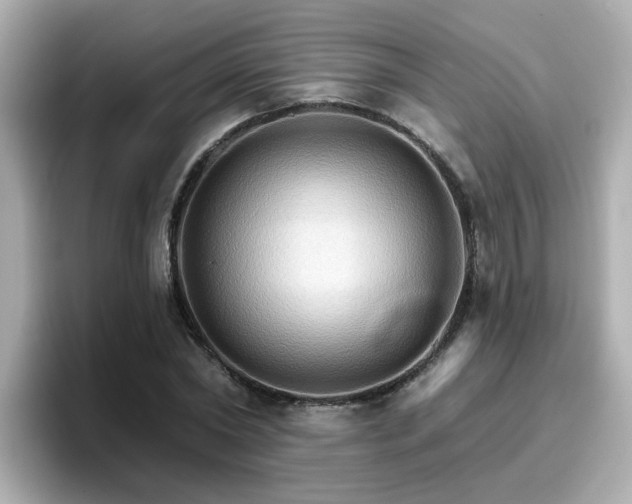 X0000096660782200802121130