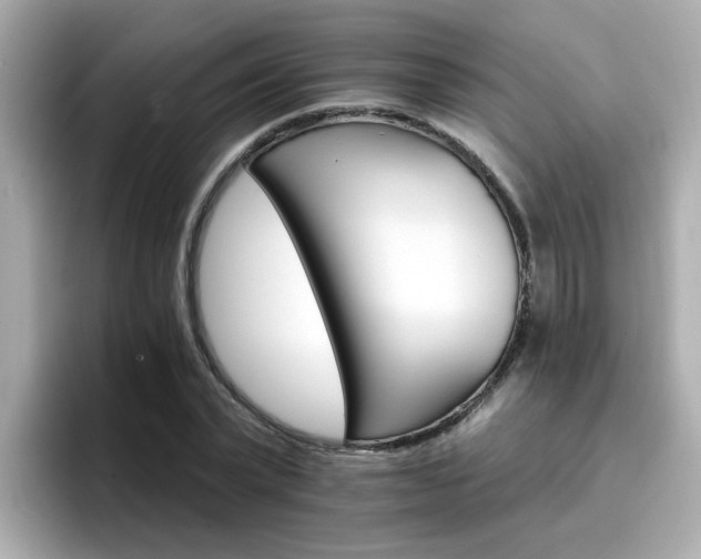 X0000096660783200802121130