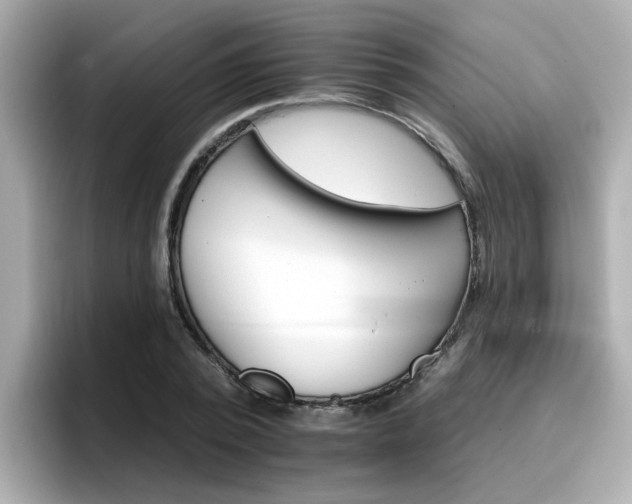 X0000096660784200802121130