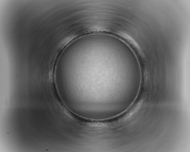 X0000096660785200802121130