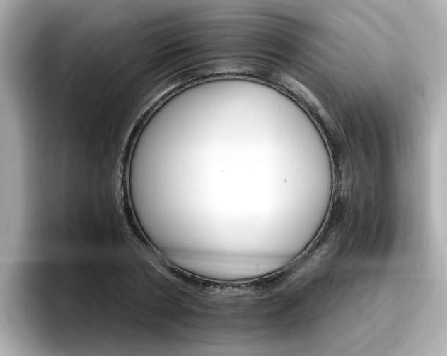 X0000096660786200802121130