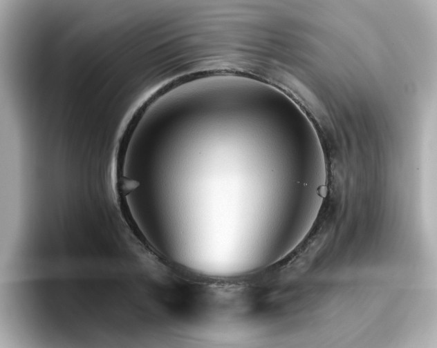 X0000096660788200802121130